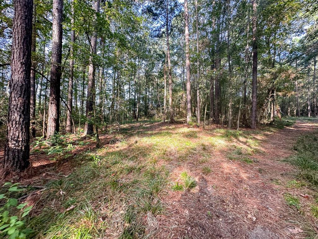 0 Golf Course Road Lufkin, TX 75901 - Photo 25 of 31 a view of outdoor space with trees