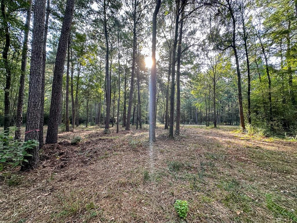 0 Golf Course Road Lufkin, TX 75901 - Photo 28 of 31 a view of a forest with trees in the background