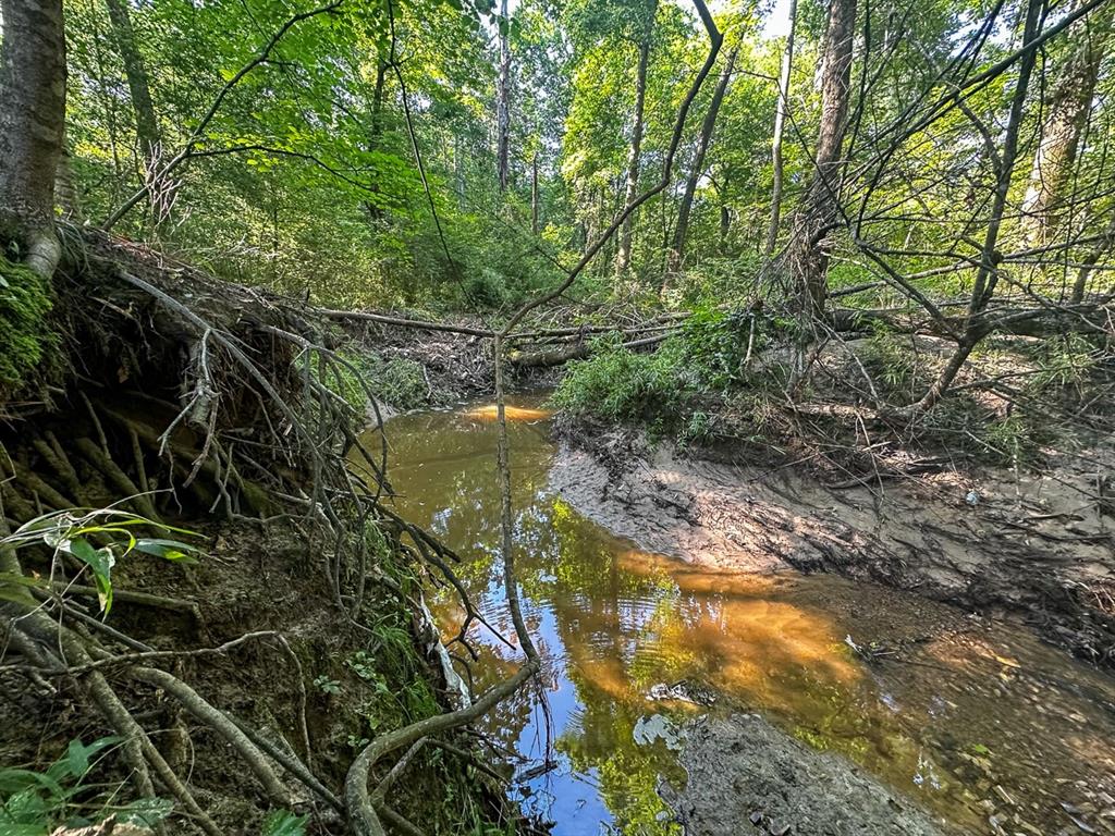 0 Golf Course Road Lufkin, TX 75901 - Photo 3 of 31 a view of lake