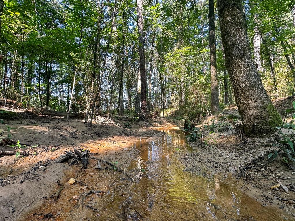 0 Golf Course Road Lufkin, TX 75901 - Photo 4 of 31 a view of swimming pool with a yard
