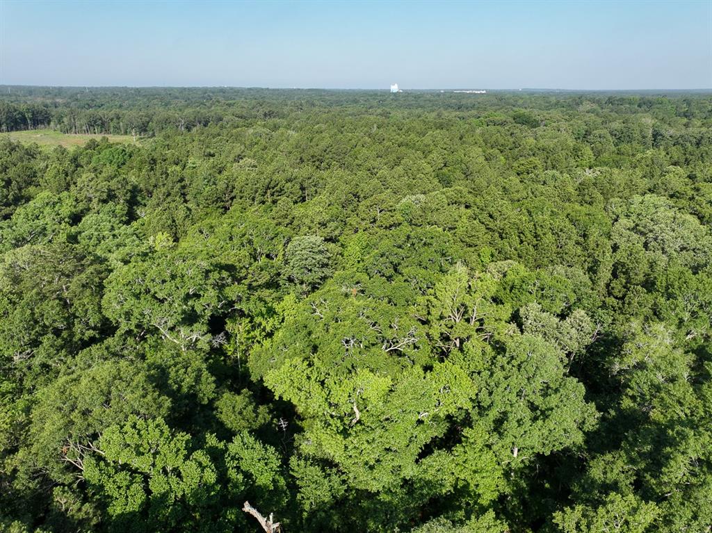 0 Golf Course Road Lufkin, TX 75901 - Photo 10 of 31 with view of a field with an outdoor space