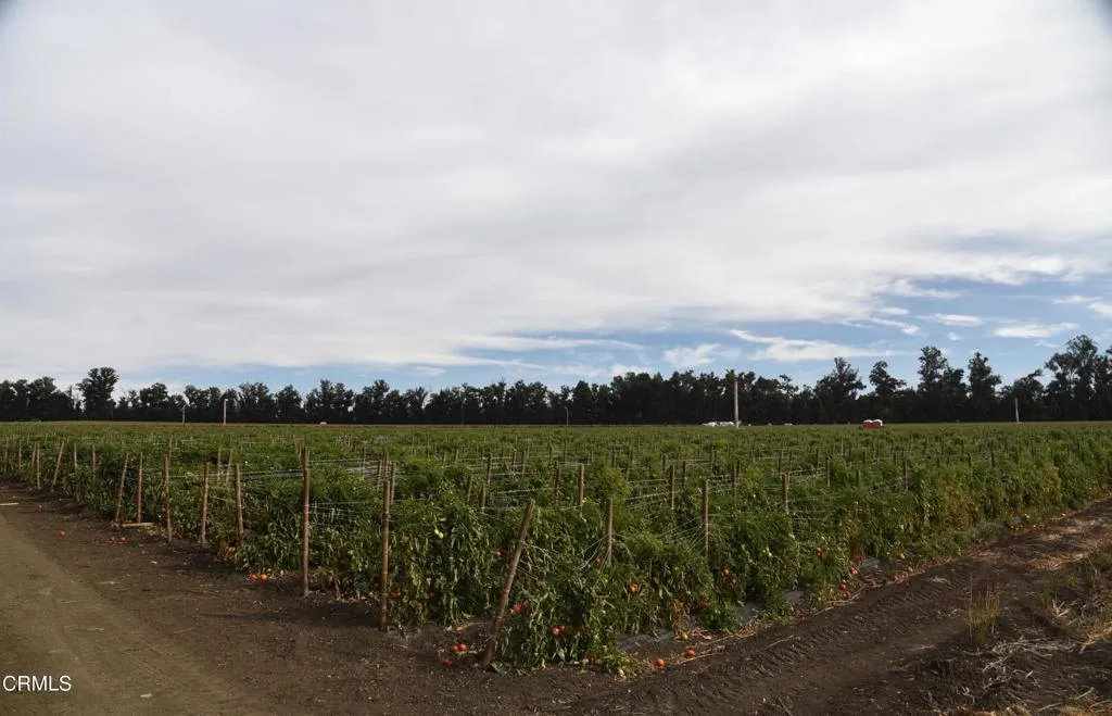 3425 Wright Road Camarillo, CA 93010 - Photo 11 of 15 a view of a lake with houses in the back