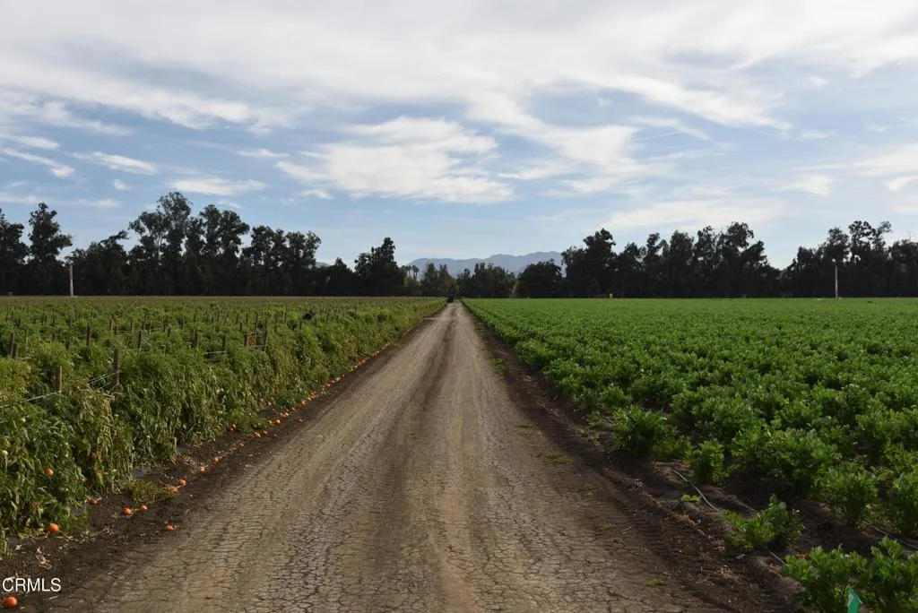 3425 Wright Road Camarillo, CA 93010 - Photo 12 of 15 a view of a yard with wooden fence