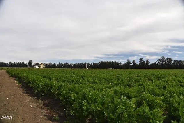 $8,995,000 | 3425 Wright Road, Camarillo, CA 93010