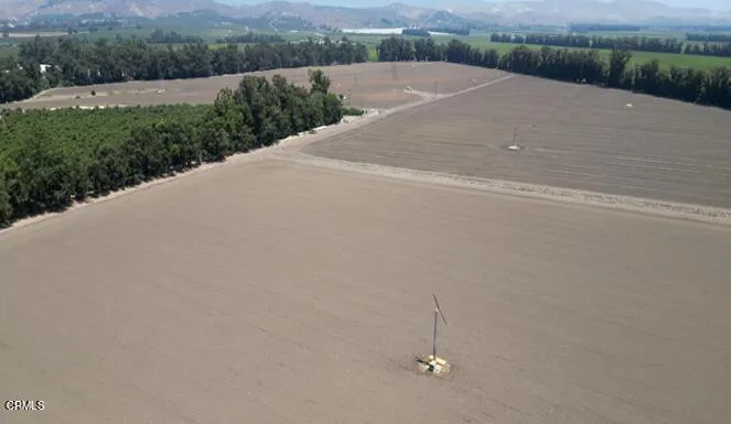 3425 Wright Road Camarillo, CA 93010 - Photo 2 of 15 a view of a terrace with yard