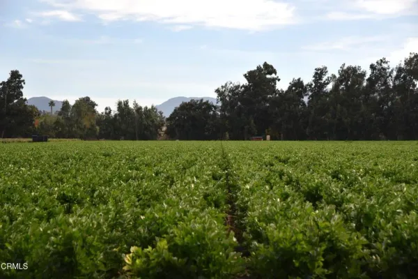 an aerial view of a city with lots of residential buildings