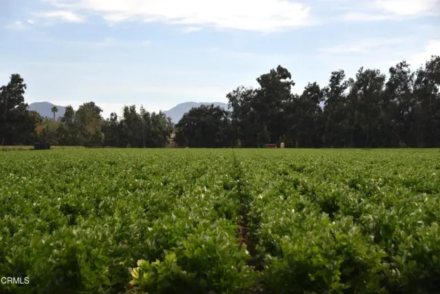 an aerial view of a city with lots of residential buildings