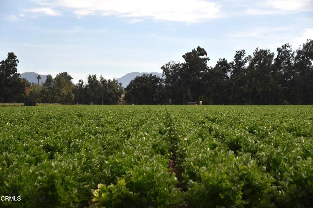 3425 Wright Road Camarillo, CA 93010 - Photo 3 of 15