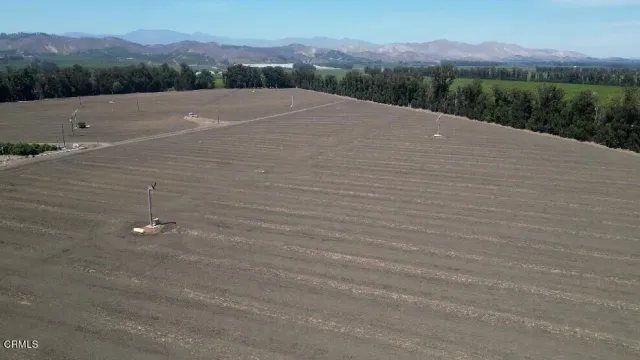 a view of a green field with lots of green space