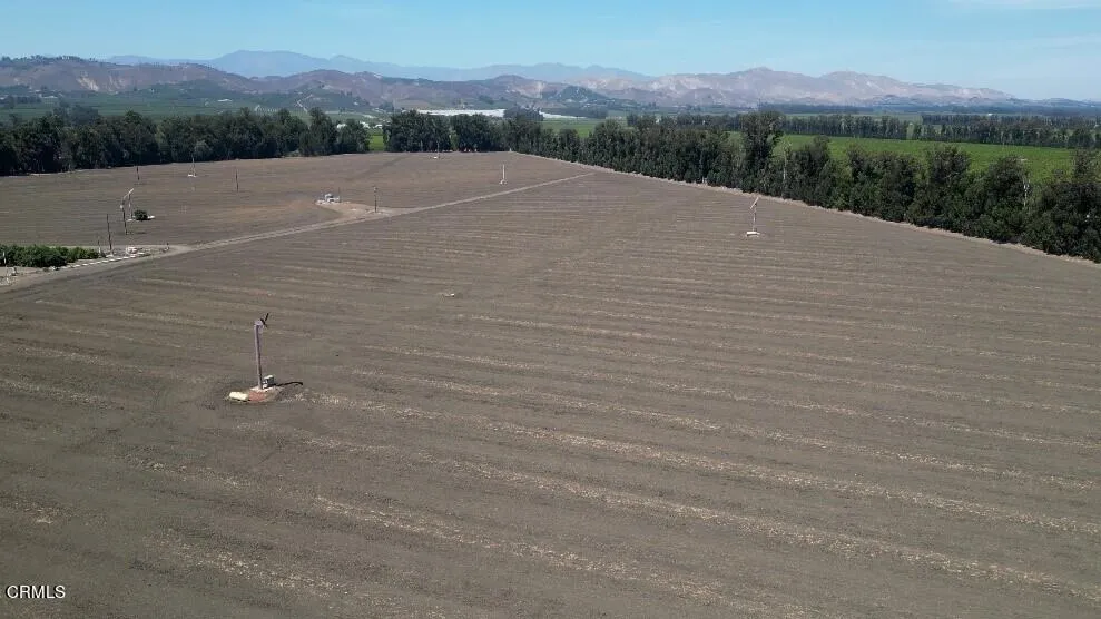 3425 Wright Road Camarillo, CA 93010 - Photo 10 of 15 a view of a dry yard with mountain