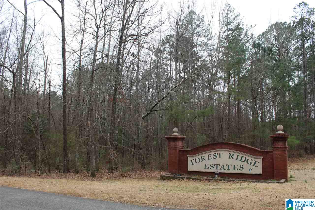 146 Forest Ridge Drive, Unit 19A Jacksonville, AL 36265 - Photo 6 of 6