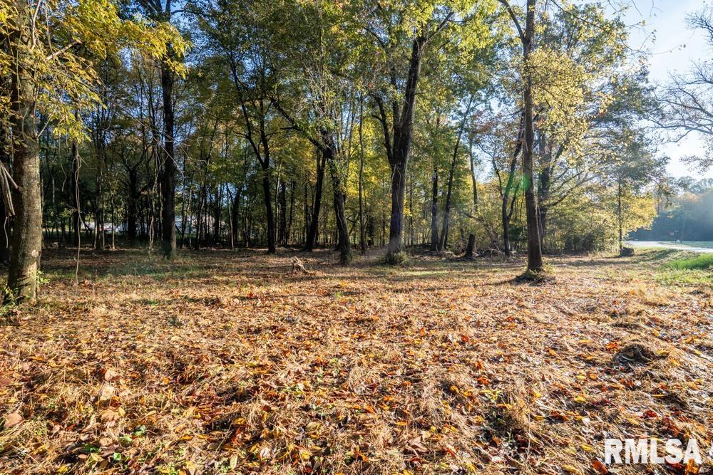 0 Baptist Camp Road Carterville, IL 62918 - Photo 5 of 8