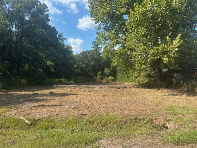 450 Oak Lane Vidor, TX 77662 - Photo 4 of 5