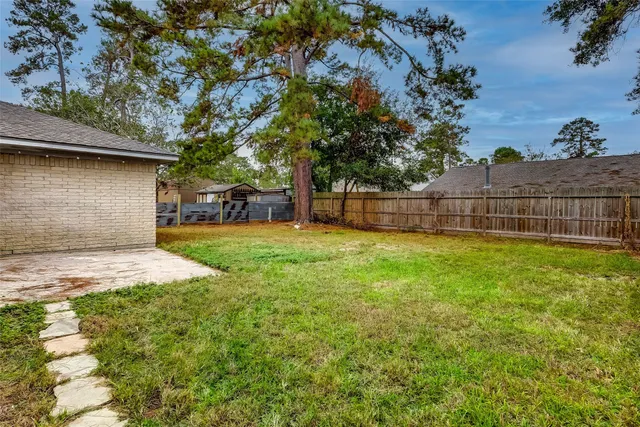 a view of a backyard with a large tree