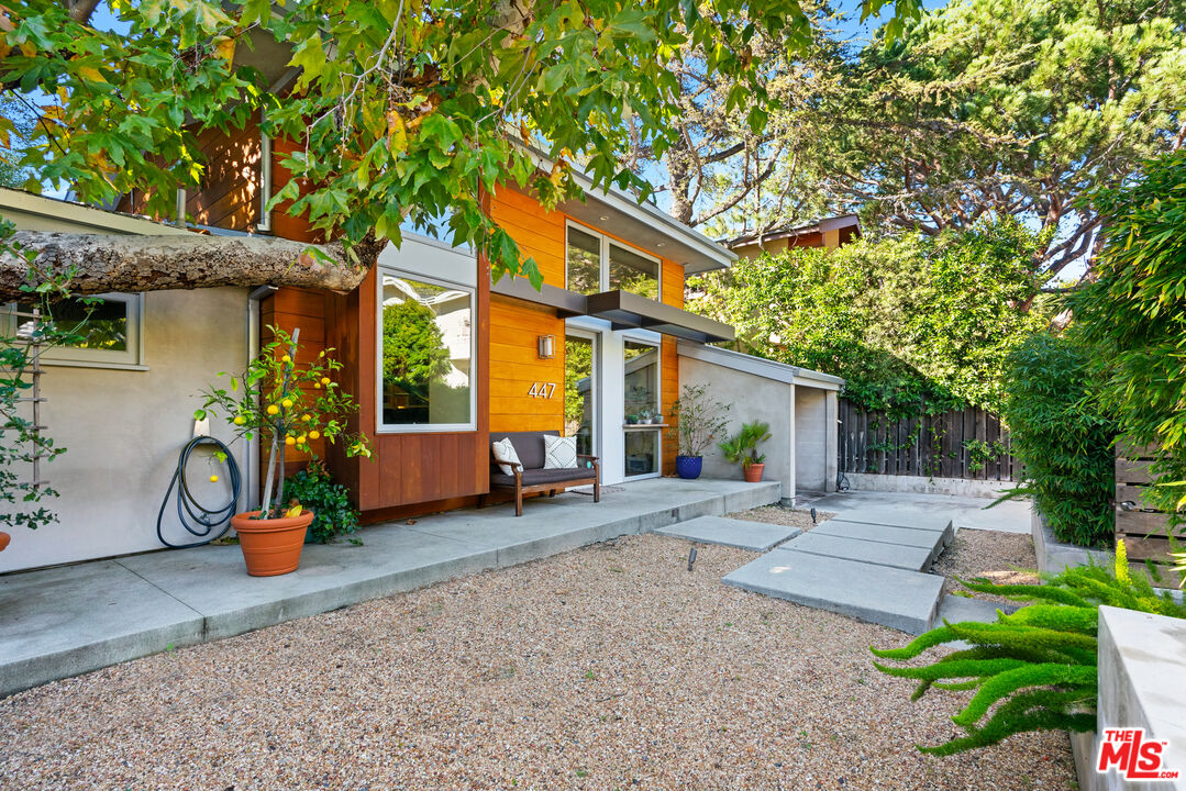 447 Sycamore Road Santa Monica, CA 90402 - Photo 33 of 36 a backyard of a house with potted plants and large tree