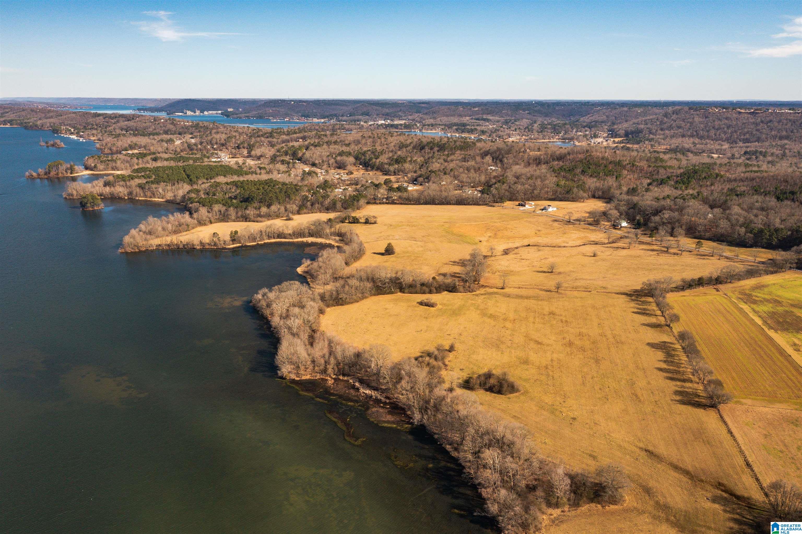 0 Browns Valley Road Guntersville, AL 35976 - Photo 13 of 39