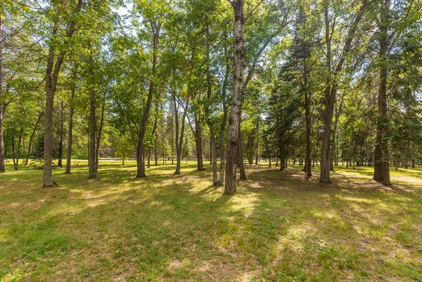 $540,000 | Tbd Mission Park Drive, Merrifield, MN 56465