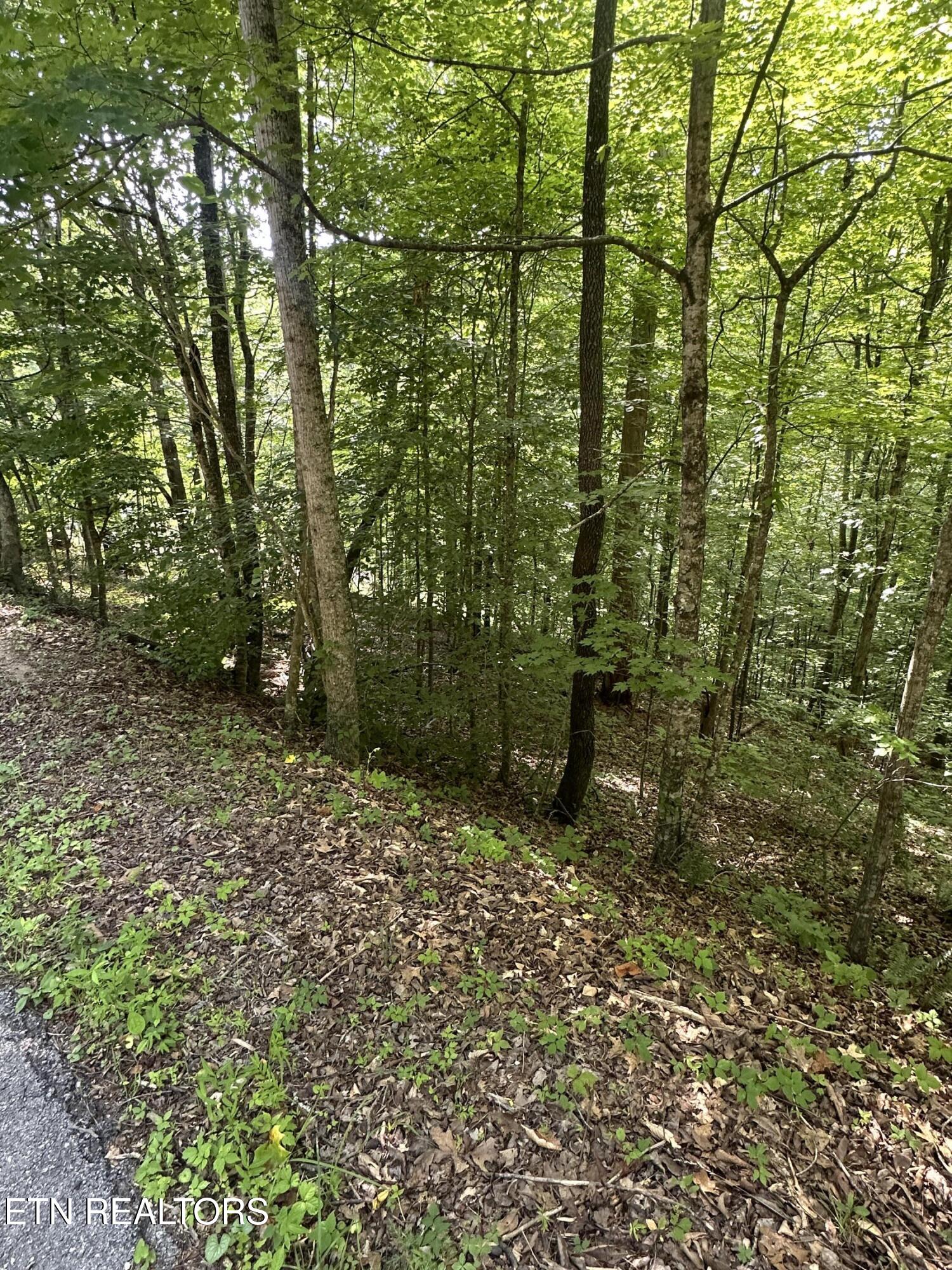 Hiwassee View Jacksboro, TN 37757 - Photo 6 of 16 jacksboro 5
