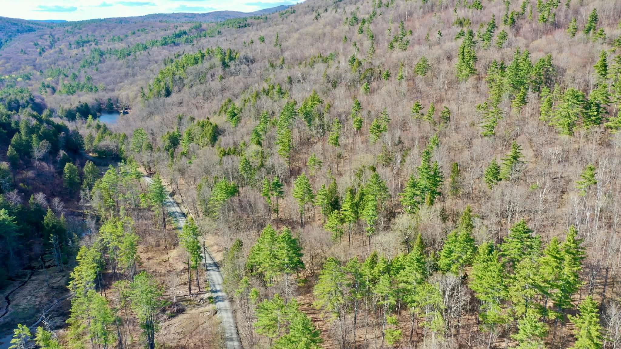 0 Turkey Mountain Road Jamaica, VT 05343 - Photo 5 of 49 Gallery Image 5