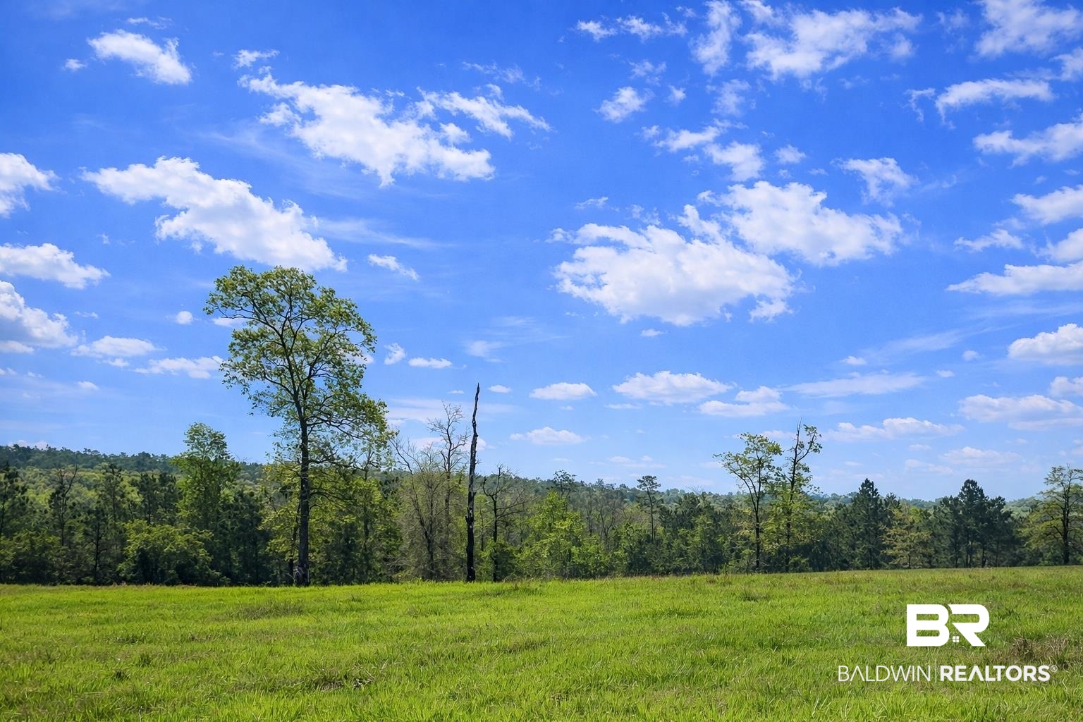 0 Powell Road Eight Mile, AL 36613 - Photo 8 of 57