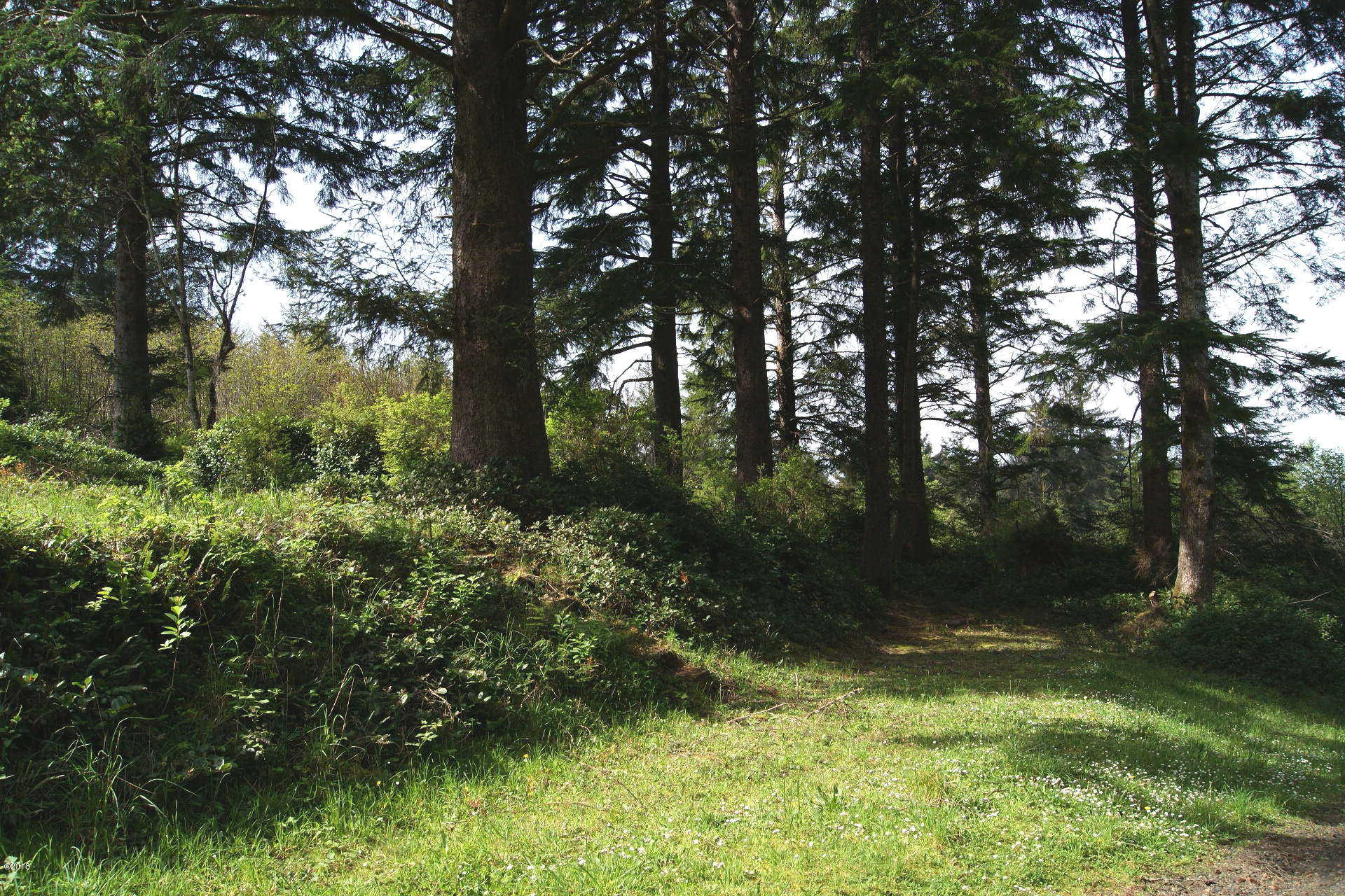 Lot301-303 East Lot301-303 E Line Road Springfield, OR 97477 - Photo 2 of 7 Lot 302, Northerly border