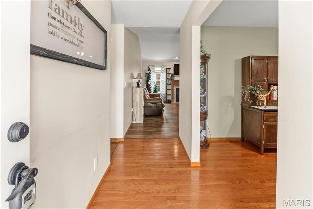 445 Steven Drive Red Bud, IL 62278 - Photo 5 of 26