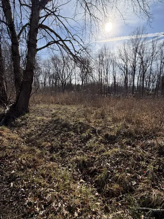 a view of yard covered with snow