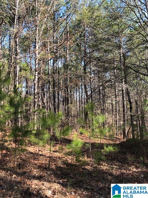 0 Blackjack Road, Unit 24 Trussville, AL 35173 - Photo 13 of 21