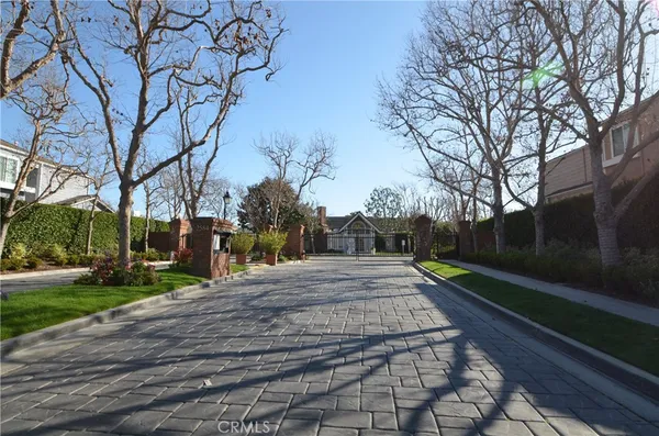 a street view with large trees
