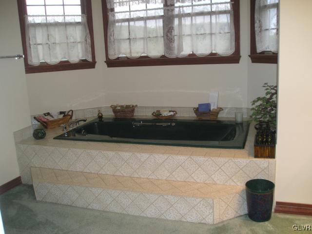 4098 Windy Road Orefield, PA 18069 - Photo 14 of 35 Gallery Image 14