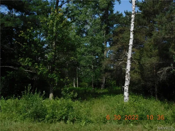 $50,000 | 7692 Decker Road, Evans, NY 14047