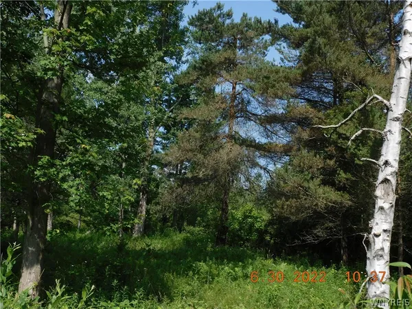 $50,000 | 7692 Decker Road, Evans, NY 14047