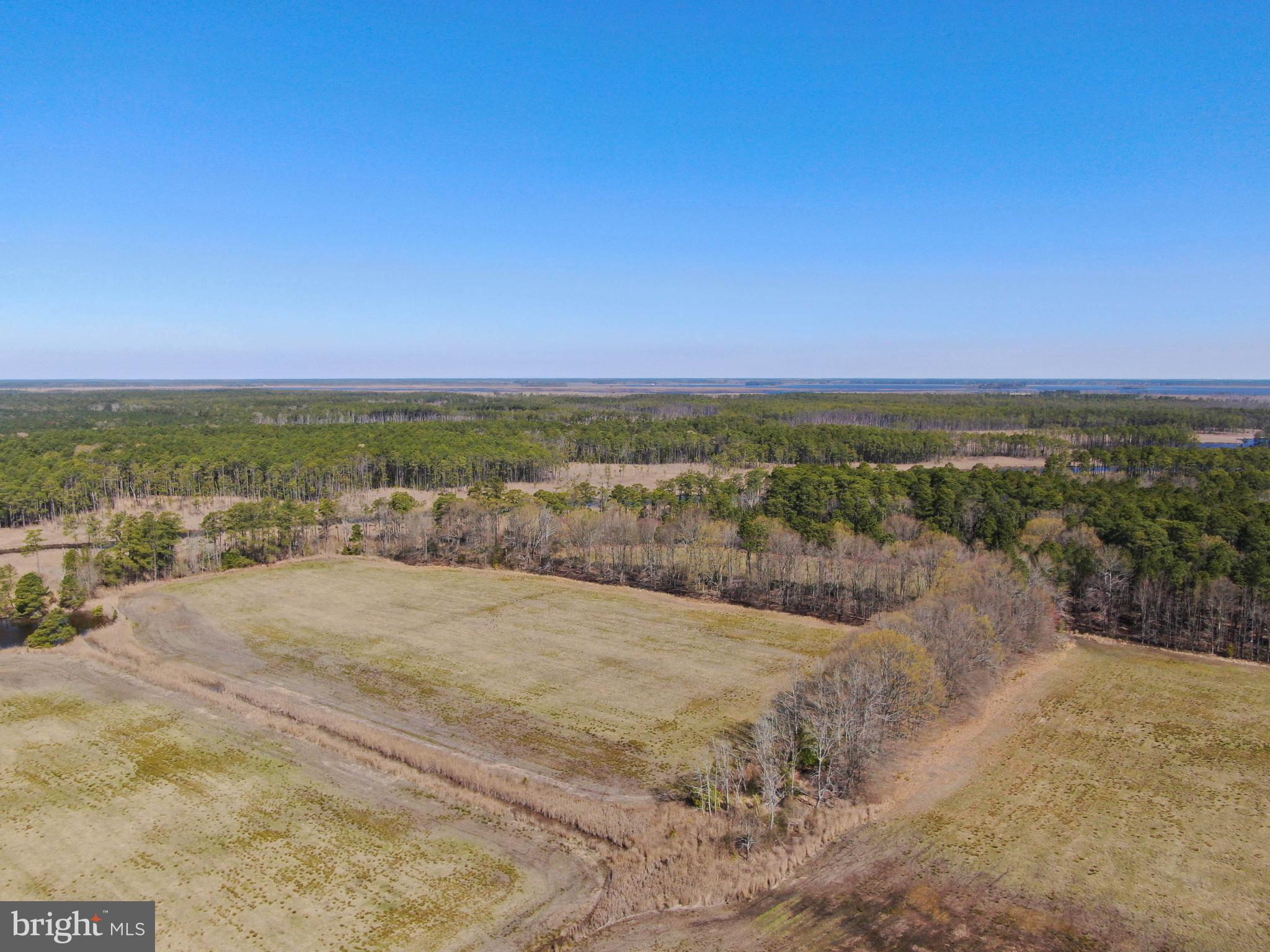 2132 Liners Road Church Creek, MD 21622 - Photo 2 of 12