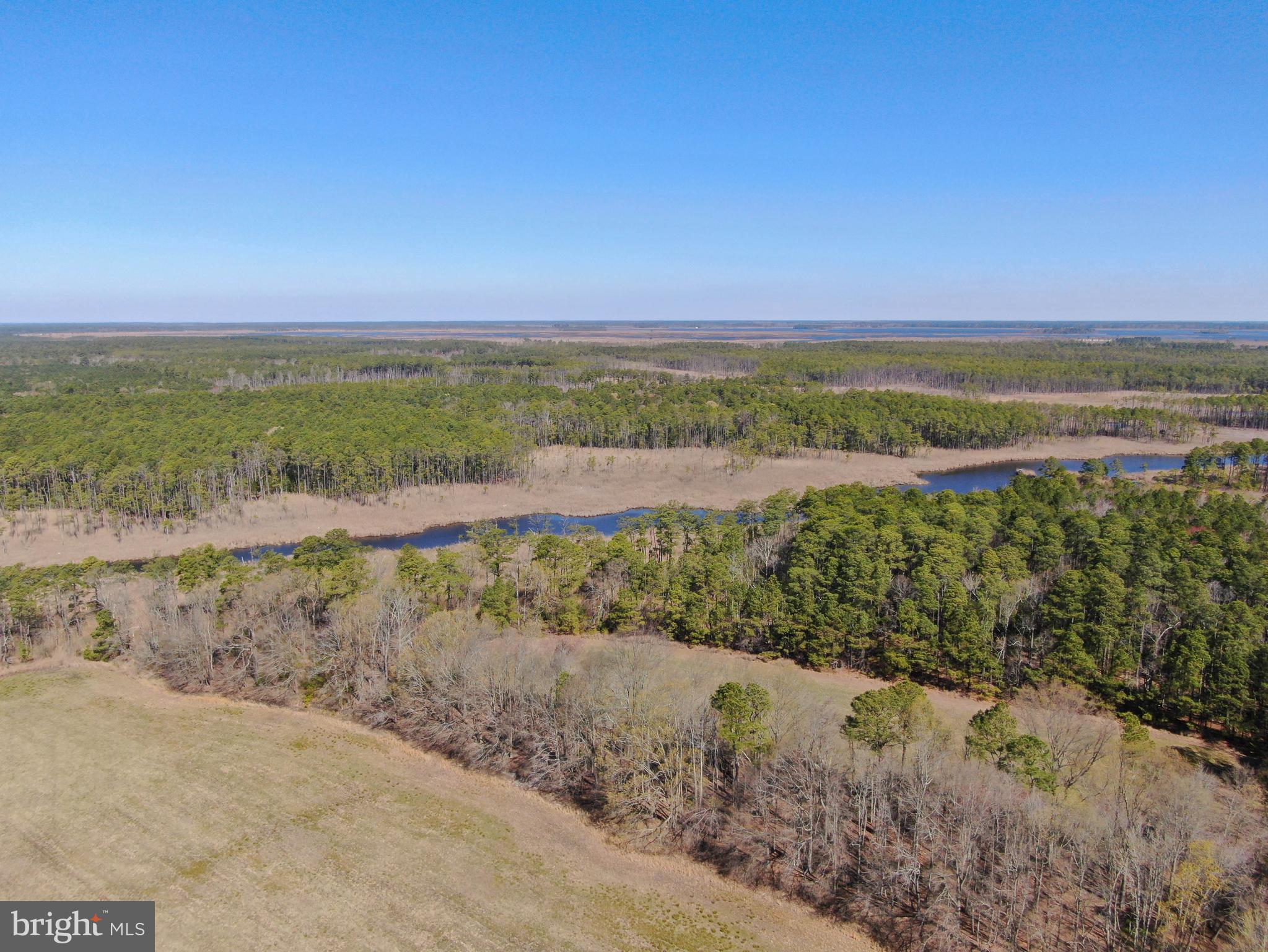 2132 Liners Road Church Creek, MD 21622 - Photo 3 of 12