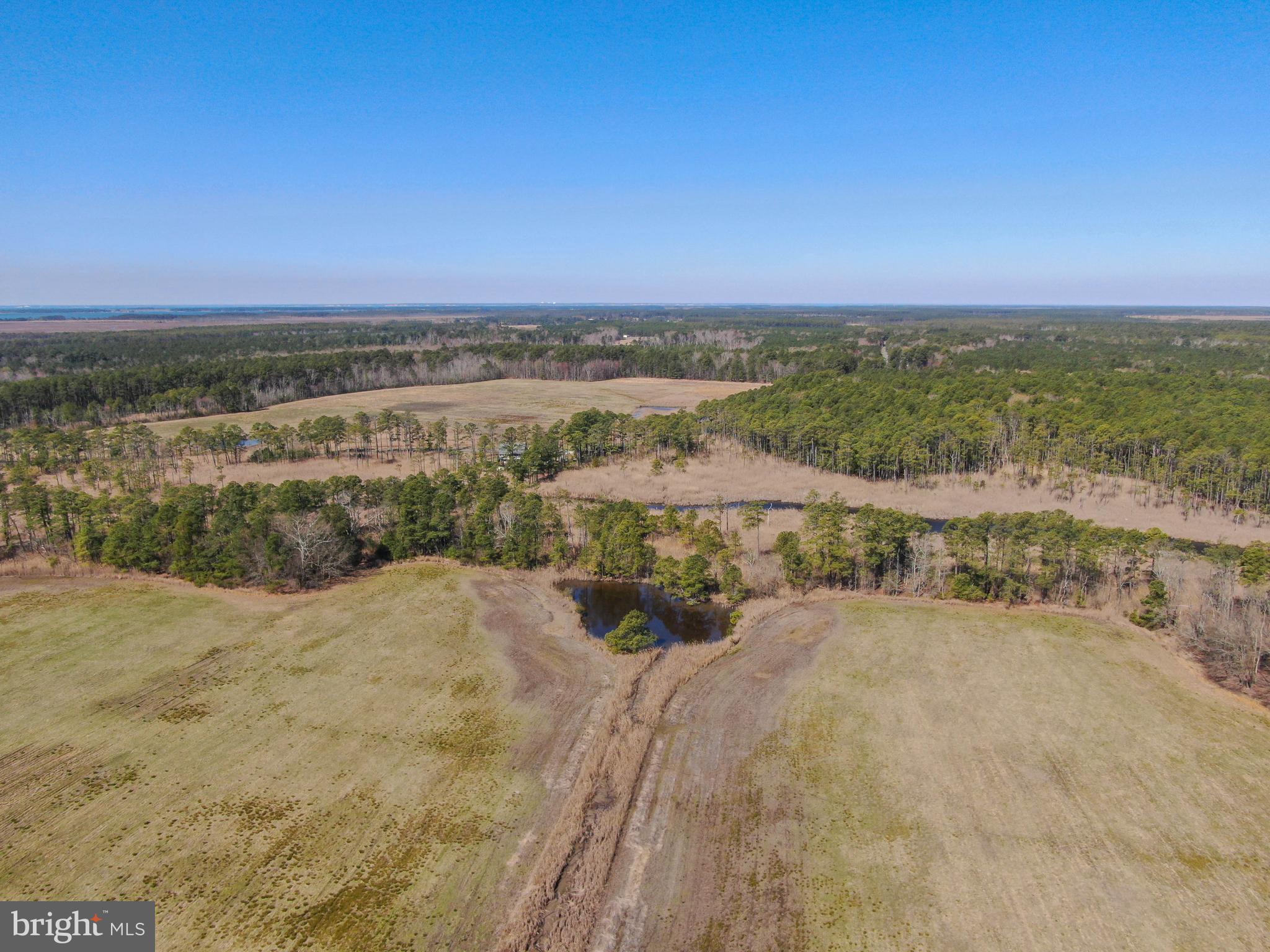 2132 Liners Road Church Creek, MD 21622 - Photo 4 of 12