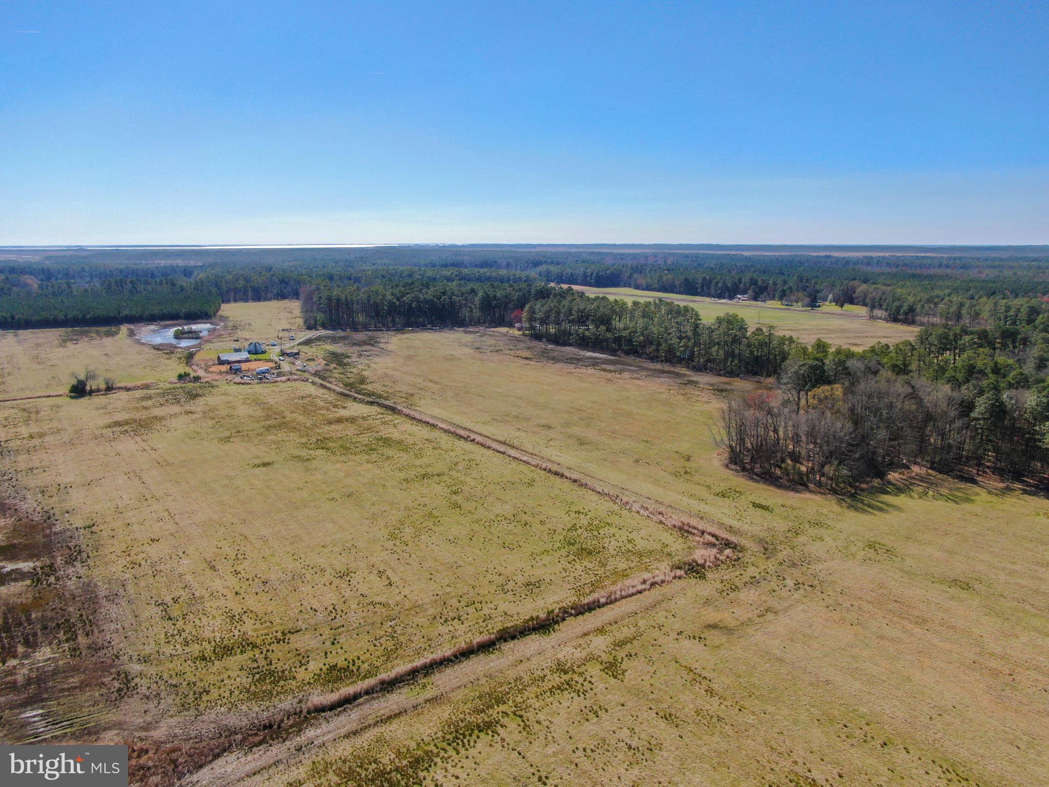 2132 Liners Road Church Creek, MD 21622 - Photo 5 of 12