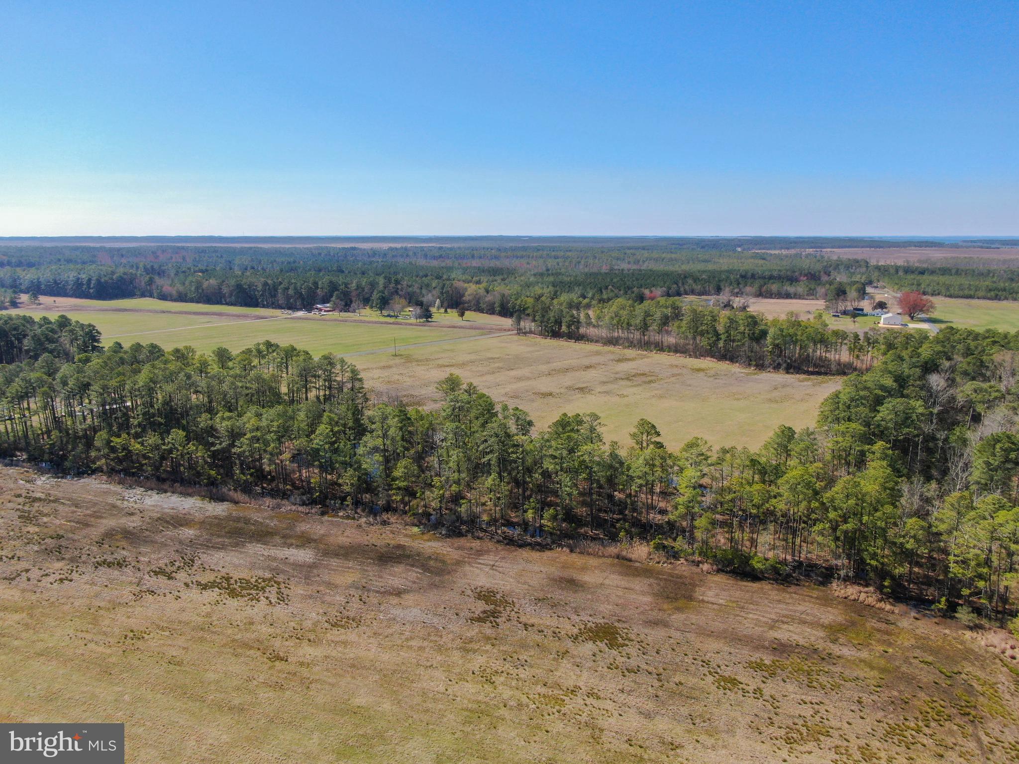 2132 Liners Road Church Creek, MD 21622 - Photo 6 of 12