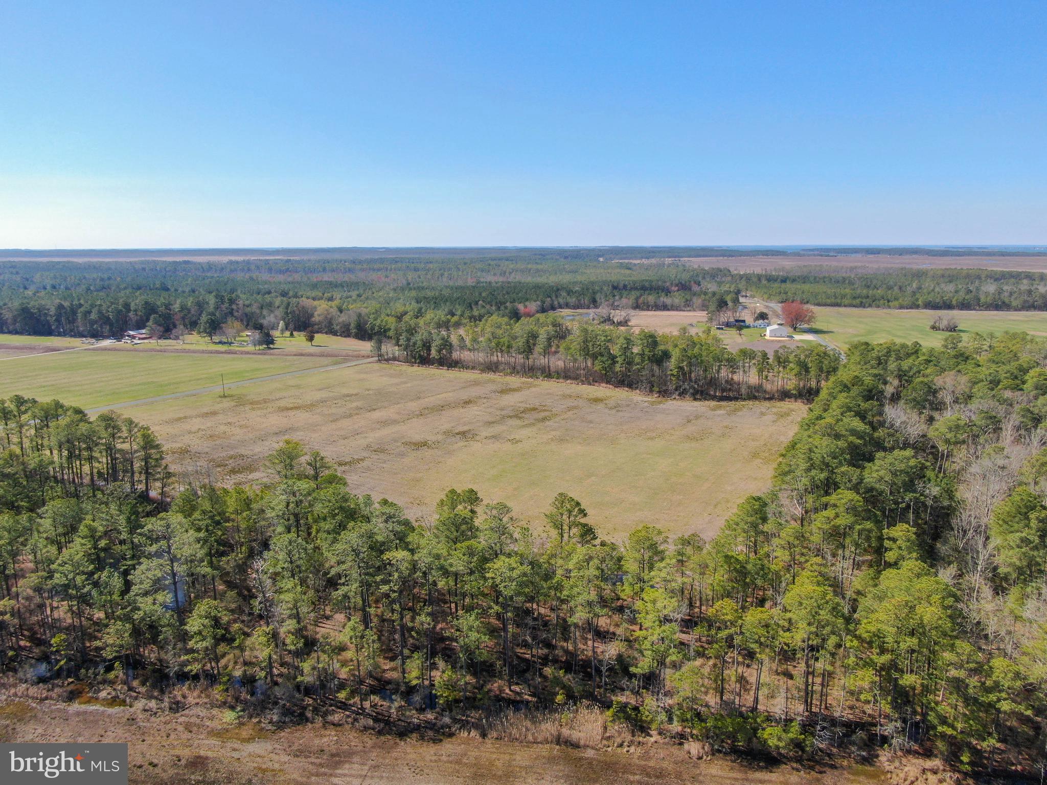 2132 Liners Road Church Creek, MD 21622 - Photo 7 of 12