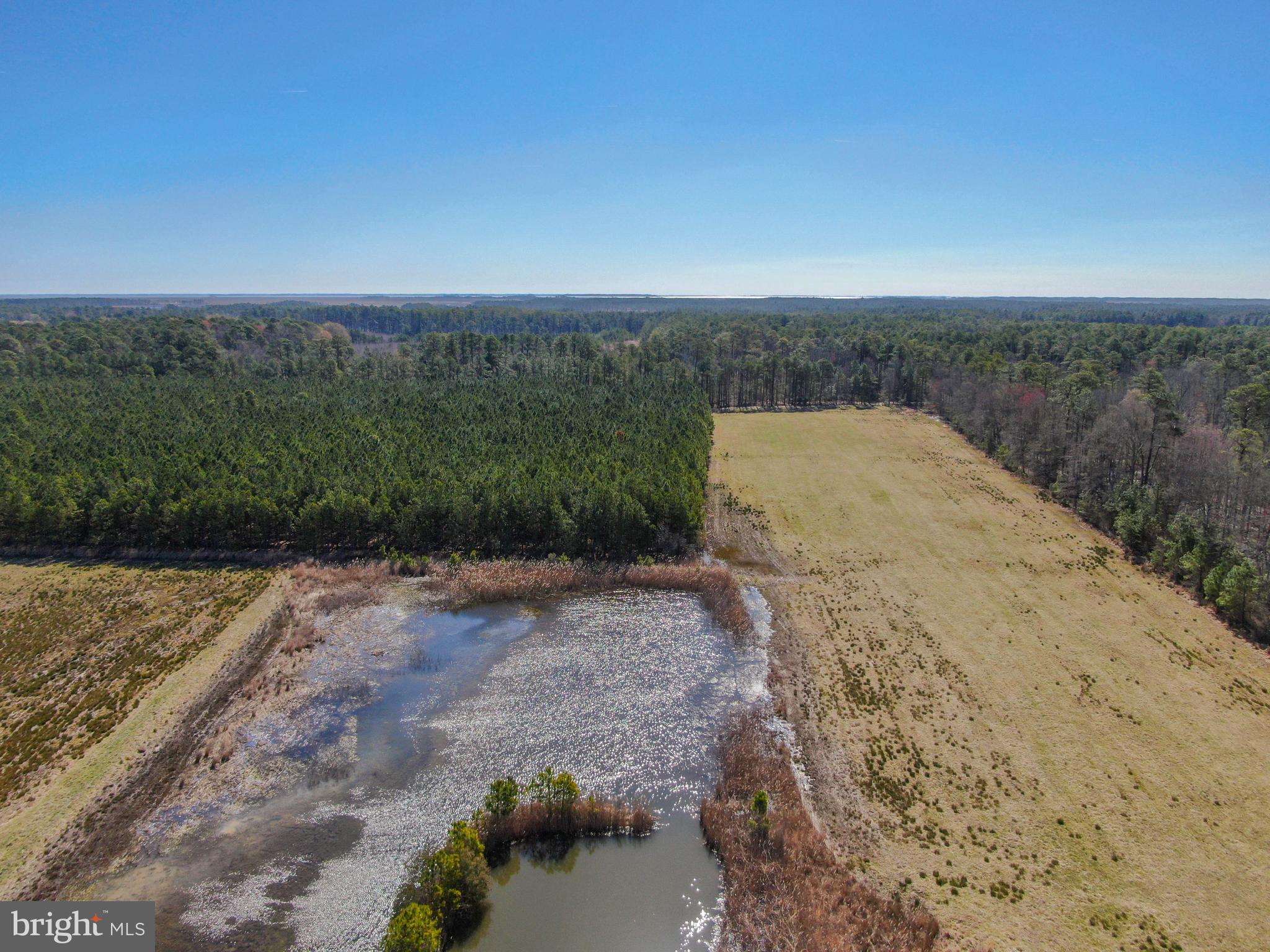 2132 Liners Road Church Creek, MD 21622 - Photo 9 of 12