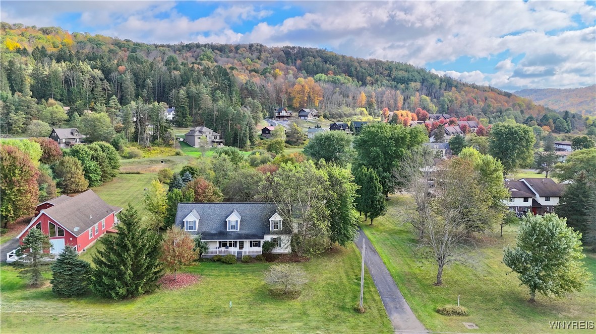 6536 Maples Road Ellicottville, NY 14731 - Photo 7 of 41