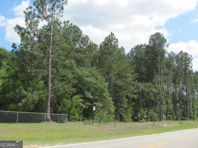 0 Tallahassee Church Road Hazlehurst, GA 31539 - Photo 1 of 1 Main View