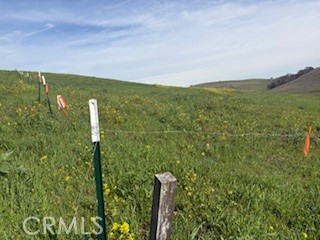 177-178 Unnamed Road Paso Robles, CA 93446 - Photo 8 of 9