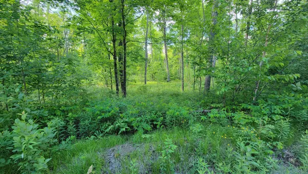 $110,000 | On Brady Lane, Summit Lake, WI 54485