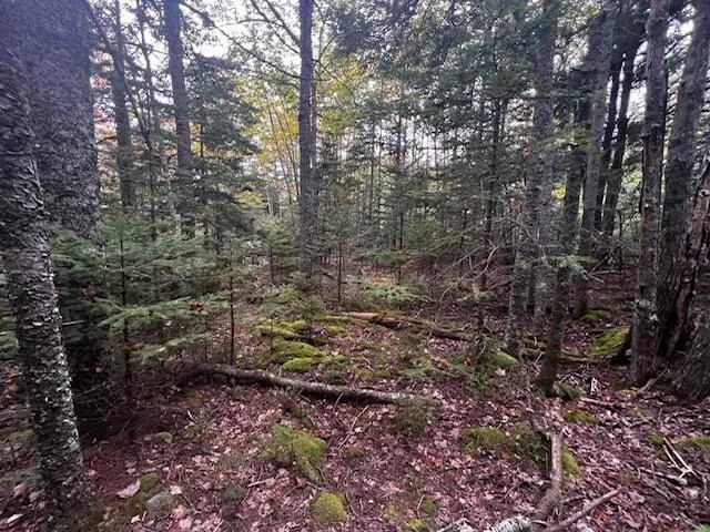 $62,500 | 12-2 South Burnt Cove Road, Stonington, ME 04681