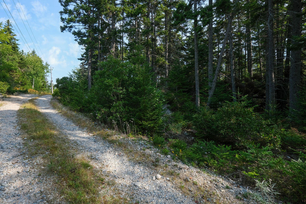 12-2 South Burnt Cove Road Stonington, ME 04681 - Photo 6 of 13 GeorgesWoodsland-9