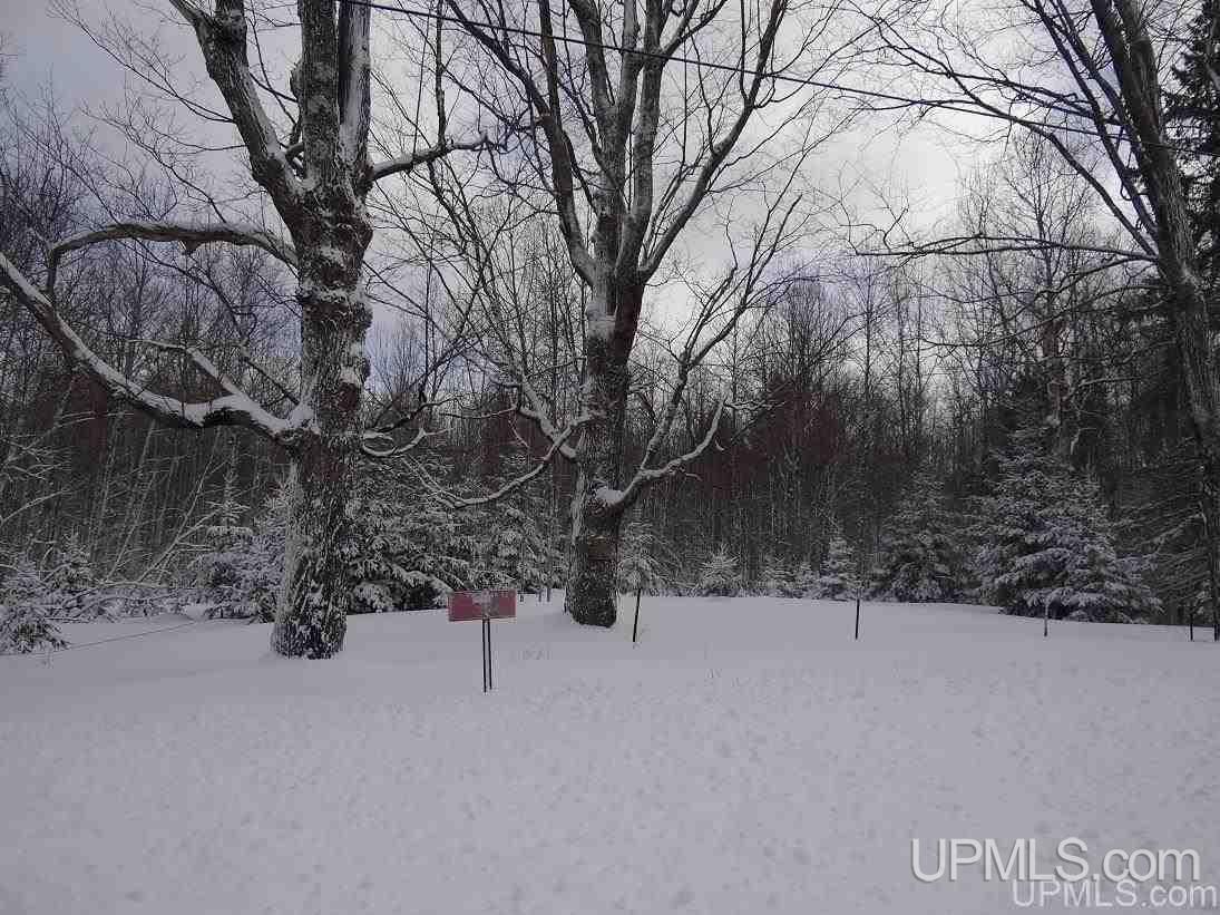 19184 Dog Patch Road Lanse, MI 49946 - Photo 11 of 23 Gallery Image 11