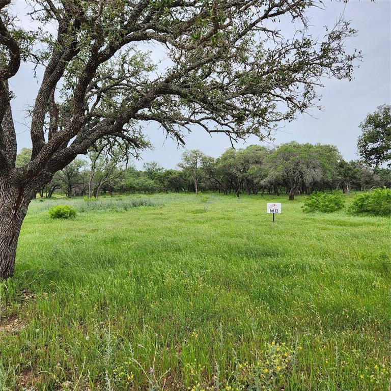 a view of a grassy field with trees in the background
