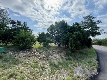 a big yard with lots of green space and plants
