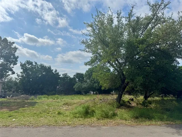 a big yard with lots of green space