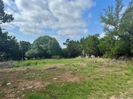 a view of a field with of trees